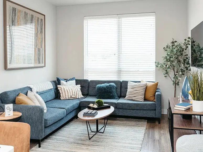 furnished living space